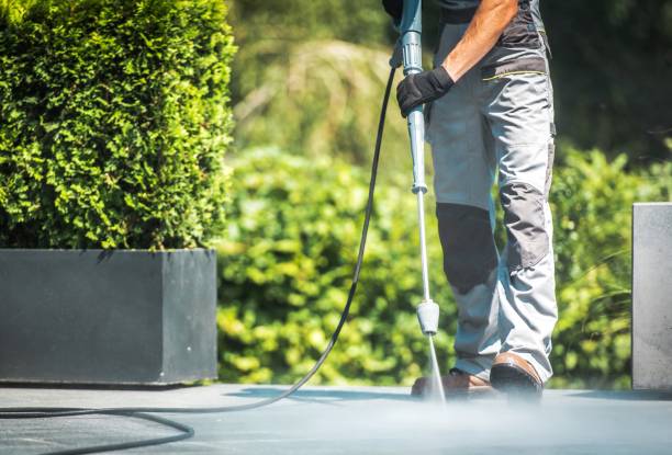 Best Sidewalk and Walkway Cleaning  in Golden Glades, FL