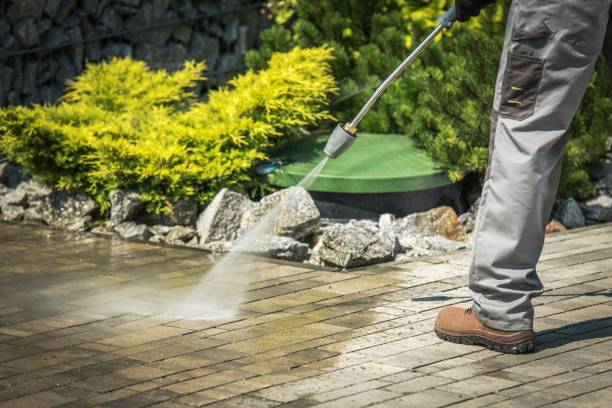 Best Roof Washing  in Golden Glades, FL