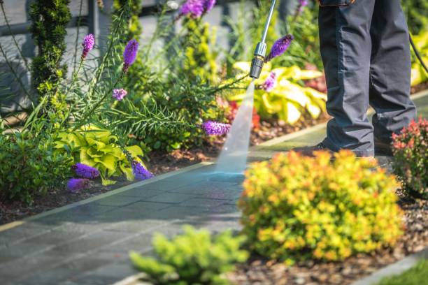 Best Post-Construction Pressure Washing  in Golden Glades, FL