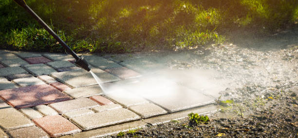 Solar Panel Cleaning in Golden Glades, FL