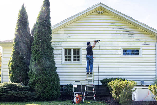 Best Driveway Pressure Washing  in Golden Glades, FL